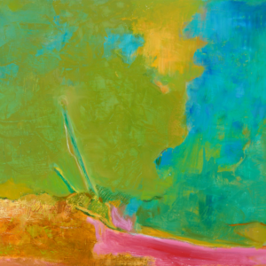 2007 - El ancho óptimo